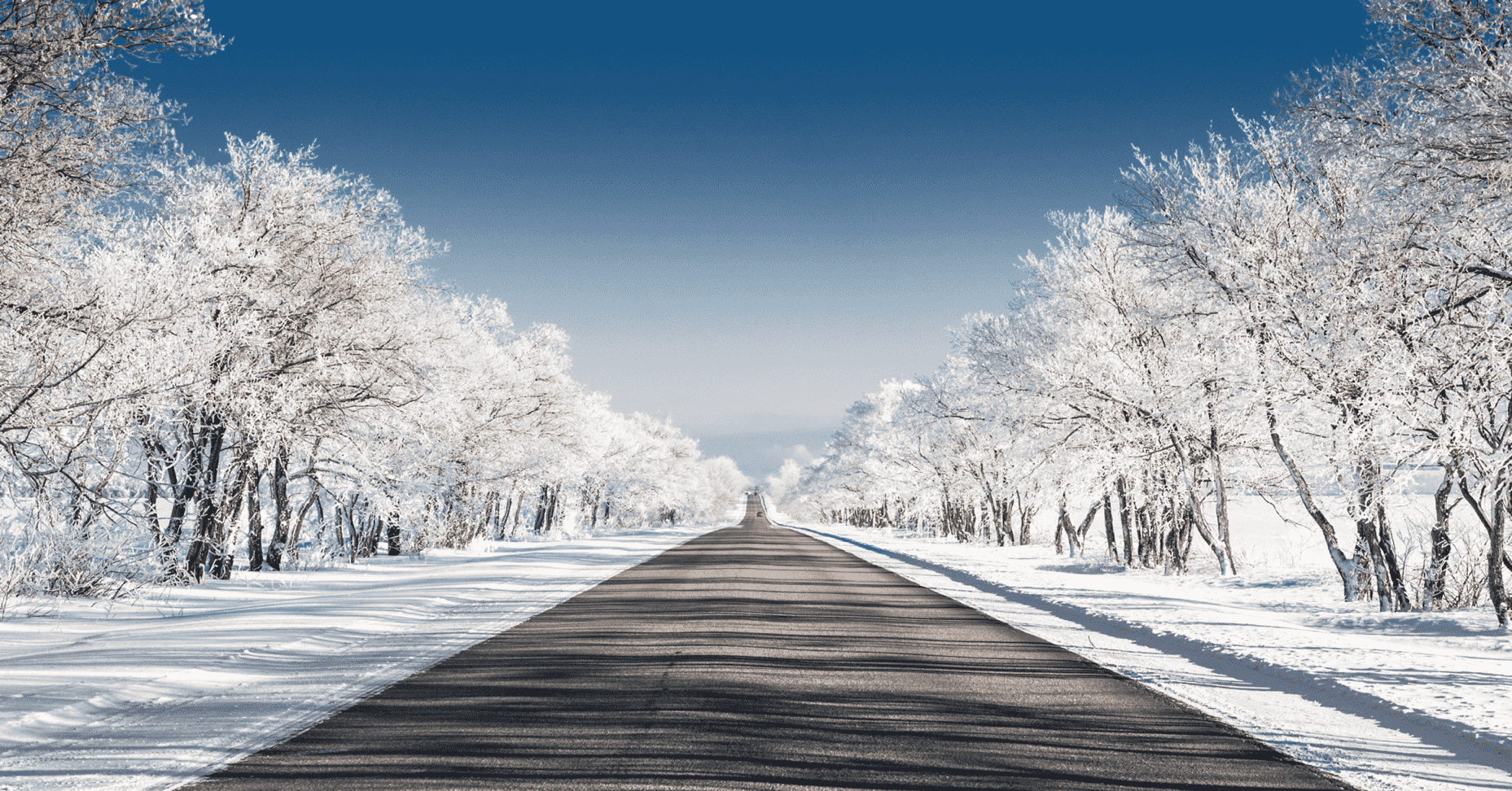 Winter Activities In Frankfurt The Frankfurt Edit